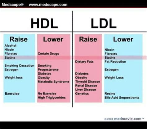 To find your cholesterol ratio, you divide your total cholesterol number by your hdl, or good, cholesterol number. HDL vs LDL | Hdl ldl, What causes high cholesterol ...