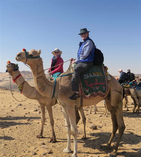 Camel test, how many camels am i worth, camel calculator female, camel calculator male, camel worth calculator, girlfriend, boyfriend, калькулятор в верблюдах, сколько стоит девушка в camel calculator. St Simeon Monastery Egypt - Camel Ride In The Sahara ...