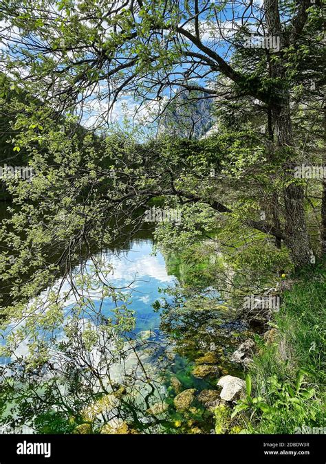 Green Lake Austria Melting Water In The Mountains Stock Photo Alamy