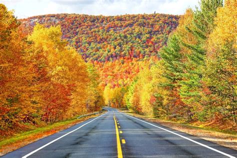 Find The Best Fall Foliage In Your Area Using This