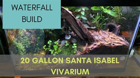 I've always wanted to make one of these, luckily, since i already had most of the materials, it didn't cost much at all. 20 Gallon Santa Isabel Vivarium | Vivarium Waterfall Build ...