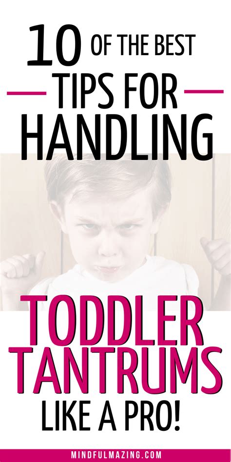 How To Deal With Toddler Tantrums Like A Pro In 2020 Tantrums Toddler