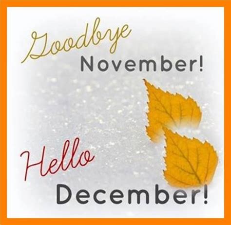 Leafy Snow Goodbye November Hello December Quote Pictures Photos And