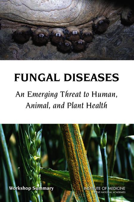 Appendix C Acronyms Fungal Diseases An Emerging Threat To Human