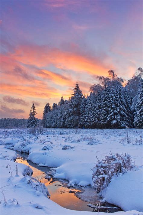 128 Best Images About Winter Wonderland A Celebration Of
