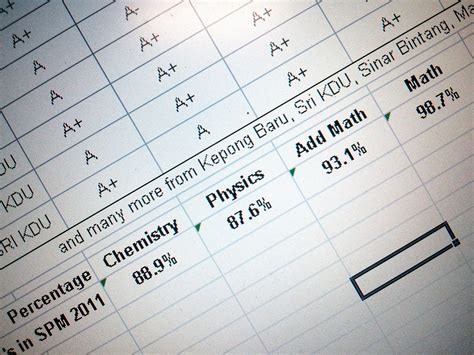 The printed copy will blur the appearance of the correction fluid, causing it to blend in with the white of the page. SPM 2011 Results = My Report Card Day - Mr Sai Mun's Blog