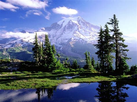 We did not find results for: Mount Rainier National Park Wallpapers - Wallpaper Cave