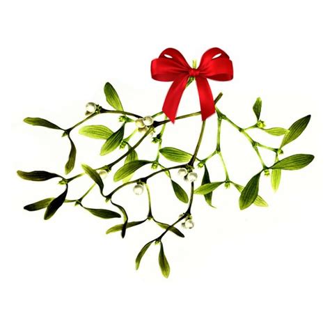 Mistletoe Wall Decal By Wilsongraphics On Etsy