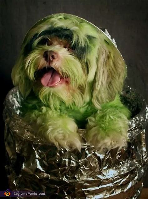 Poodle Oscar The Grouch Dog Costume Mind Blowing Diy Costumes