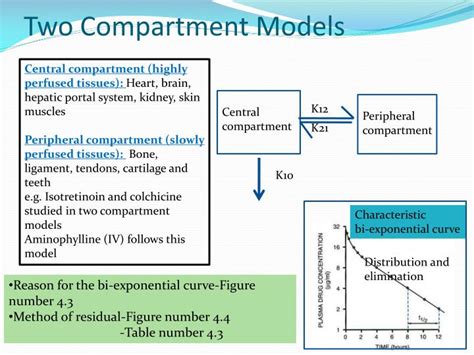 Ppt Compartment Models Powerpoint Presentation Id2288492