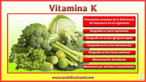 Vitaminas Vitamina K