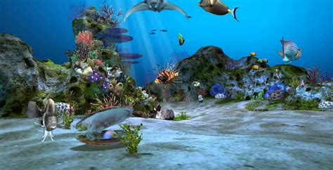3d Aquarium Screensaver For Windows 8 Enternasad