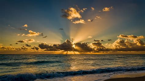 Hd Wallpaper Miami Beach Florida Beautiful Sunrise Morning Sea Ocean