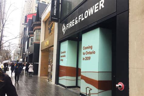Beautiful flowers, reasonable prices, and reliable service. Cannabis company paying massive monthly rent in Toronto as ...