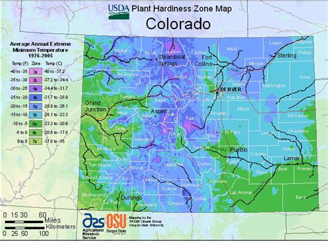 We suggest choosing a plant that isn't already producing flowers and fruit. Colorado Hardiness Zone Map