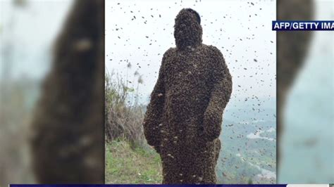 Man Covered In Half A Million Bees Cnn