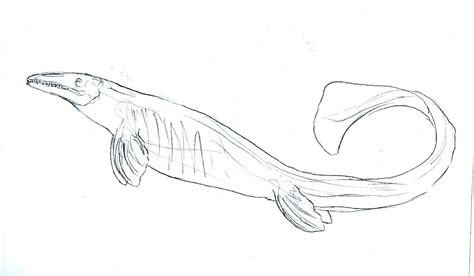 Mosasaurus Coloring Pages - Learny Kids