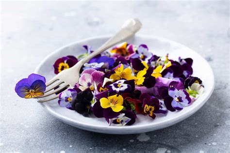 Edible Flower Recipe Ideas To Make Mealtimes Blossom