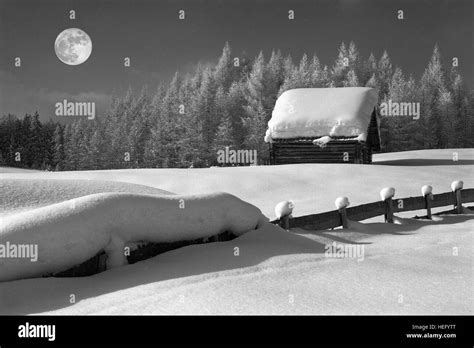 Winter Scenery With Full Moon Stock Photo Alamy