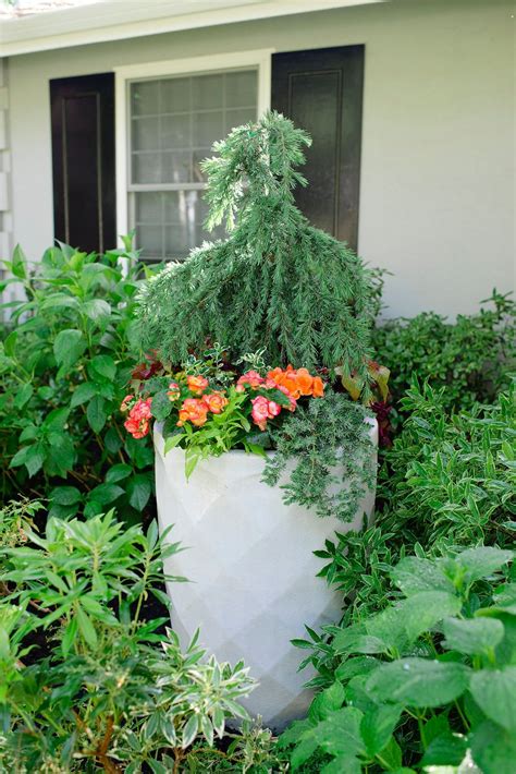 Unique Container Gardening Ideas Large Flower Pots Indoor Herb