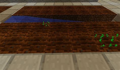 How To Get Every Crop Seed In Minecraft