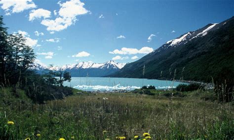 Six Interesting Facts About Patagonia Blog Posts Wwf