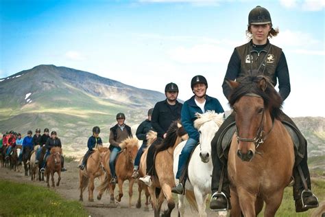 2023 Icelandic Horseback Riding Including Pick Up From Reykjavik