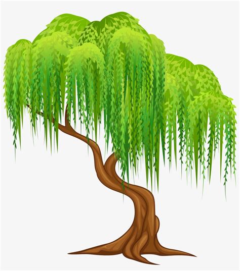 Weeping Willow Tree Clipart Transparent Png Hd Weeping Willow Willow