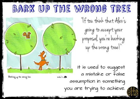 Barking Up The Wrong Tree Images Bmp Live