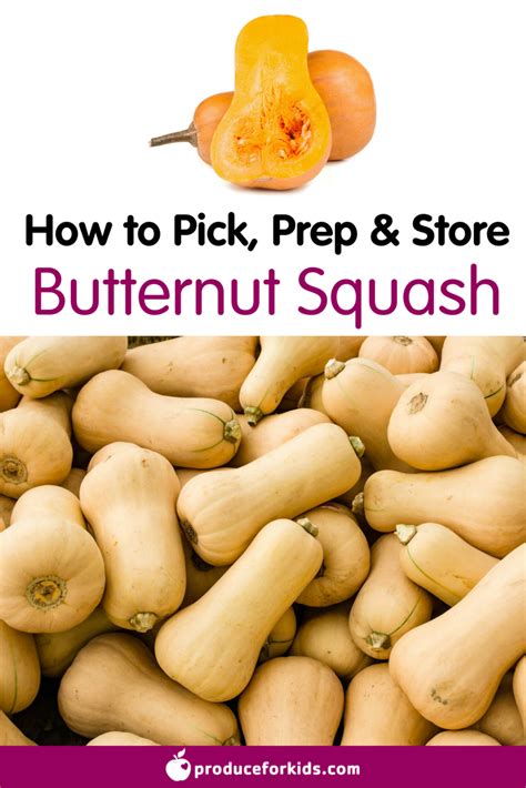How To Pick Prep And Store Butternut Squash Nutrition Information