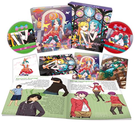 Monogatari Saga 10 Volumes Edition Collector Blu Ray Dvd Ebay