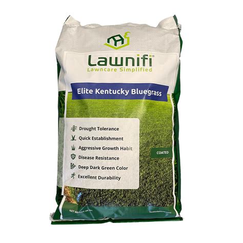 Top Quality Grass Seed For Healthy Lawns Lawnifi
