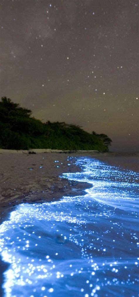 Trick Of Nature Turns Maldives Beach Into Glowing Sea Of Stars