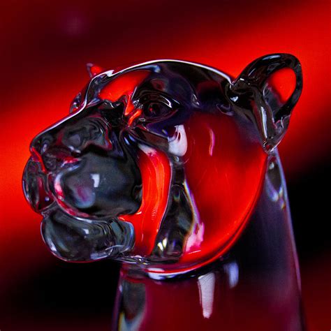 Crystal Cougar Head Photograph By David Patterson Fine Art America