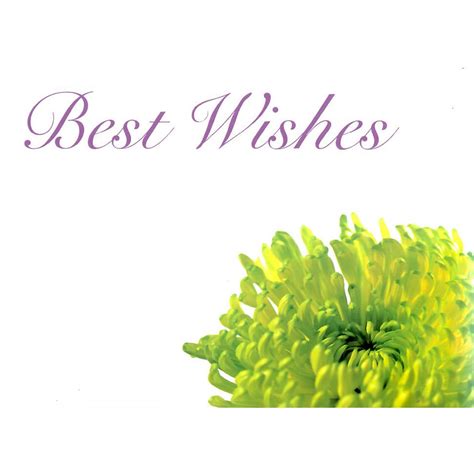 Large Cards - Best Wishes | E Pollard & Sons
