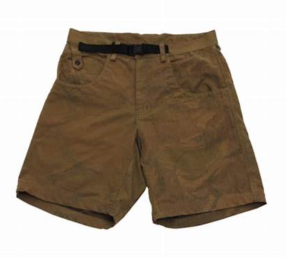 Shorts Transparent Short Pant Brown Pants Pngio