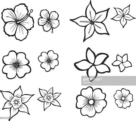 Illustrations Of Six Tropical Flowers Also Available In Full Color Blumen Skizzen Tropische