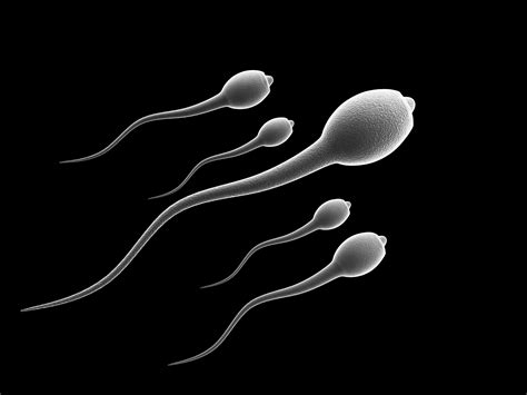 6 Ways Many Men Are Unknowingly Killing Their Sperm Calabar360 Blog