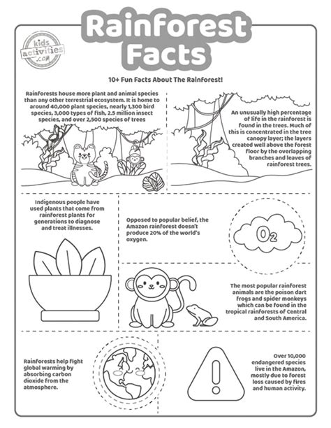 10 Rainforest Facts Printable Worksheets