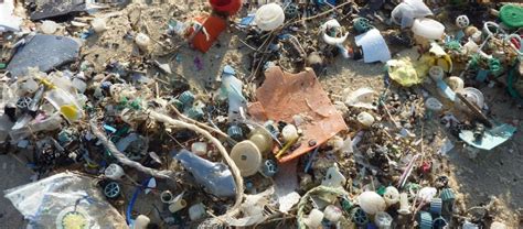 Argentina Más Del 80 De Los Residuos En Las Playas Bonaerenses Son