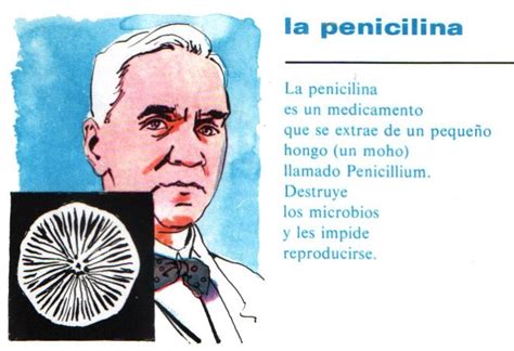 La Verdadera Historia De Como Fleming Casi No Descubre La Penicilina