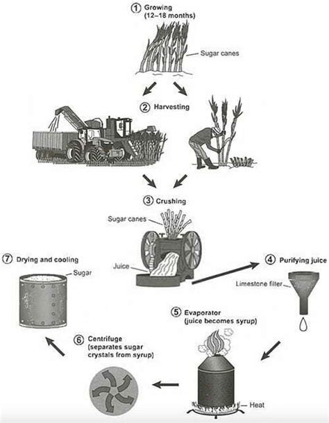 The Diagram Below Shows The Manufacturing Process For Making Sugar From