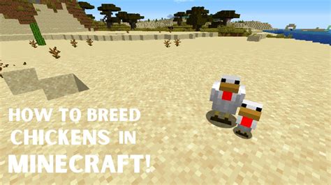 How To Breed Chickens In Minecraft Youtube