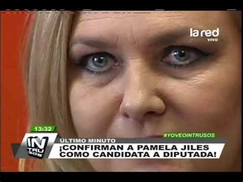Joven empujado al río mapocho. Pamela Jiles es confirmada como candidata a diputada y ...