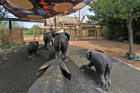 Giants Of The Savanna Dallas Zoo Sedalco