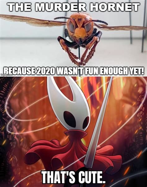 Murder Hornet Rhollowknightmemes