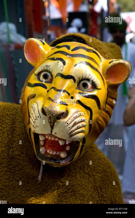 India Tiger Mask High Resolution Stock Photography And Images Alamy