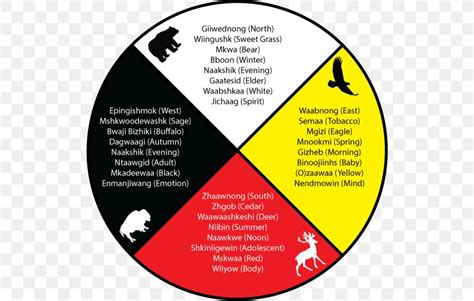 Medicine Wheel Spirituality Mental Health The Red Road Ojibwe Png