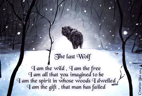 Beautiful Wolf Quotes Wolf Spirit Wolf