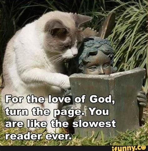 Funny Animals With Captions Funny Pictures With Captions Funny Animal